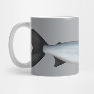 Sardine Cisco Mug